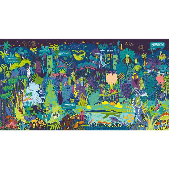 夜光找一找：不可思議的雨林大探索